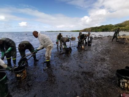 Wakashio : comment mieux protéger notre zone économique exclusive ?  