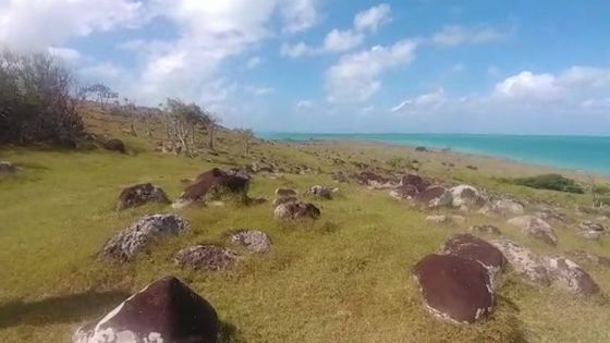 Collaboration inter-îles : ouverture d’un lycée agricole à Rodrigues