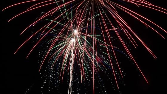 France: un garçon de 7 ans et sa soeur de 24 ans tués lors d'un feu d'artifice