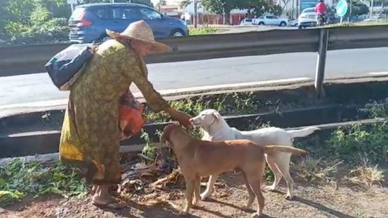 Elle dépense presque toute sa pension pour nourrir les animaux 