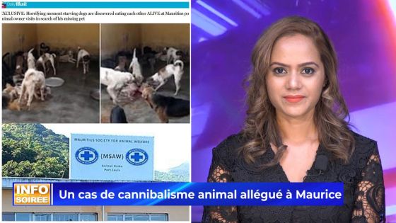 [INFO SOIRÉE] : Cannibalisme animal allégué «Zot ti pe manz lapat lisien malad la»