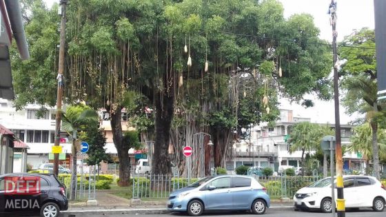 Squat : appel aux SDF du jardin de Plaine-Verte à se rendre dans des abris