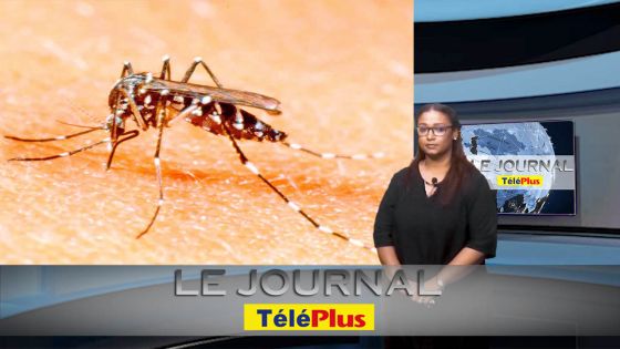 JT : Un cas importé de dengue répertorié à Maurice 