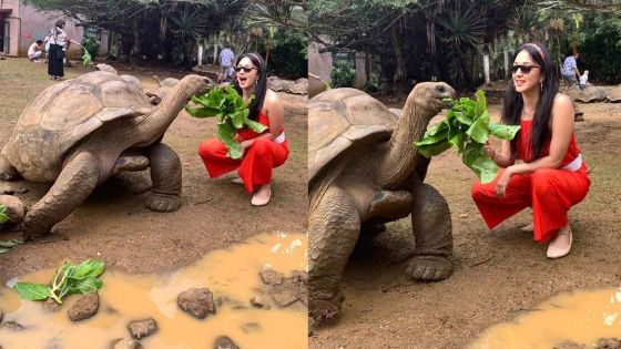 Bollywood : l'actrice Kiara Advani en vacances à Maurice et nourrit une tortue