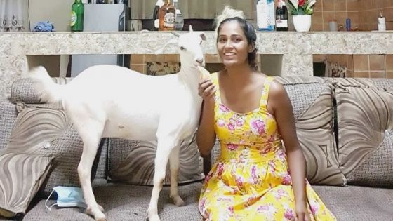 Demande d’aide : Priya cherche désespérément Sarah, la chèvre considérée comme sa fille 