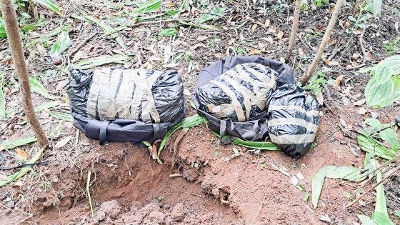 Chamarel : du cannabis valant Rs 20 millions trouvé dans une forêt