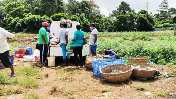 Verdun : vente de légumes en période de confinement 