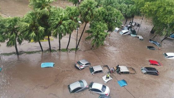 Les prévisions de la météo : au conseil des ministres vendredi 