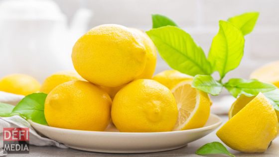 Exportation de limons : Rodrigues revoit sa stratégie 