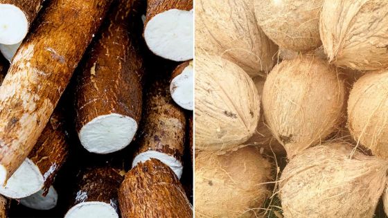 Blue Bay et Vieux Grand Port : Du manioc et des noix de coco volés