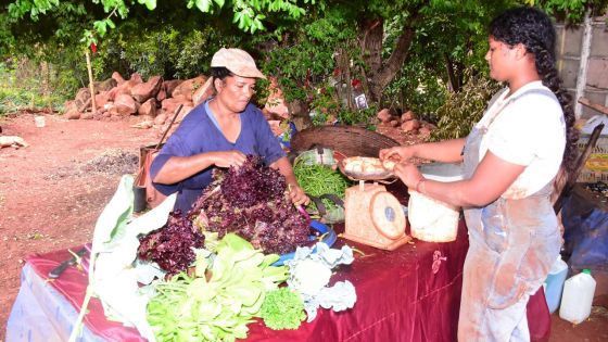 Consommation : ces légumes qui se font rares et qui coûtent plus cher