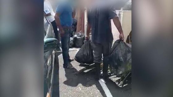 Médicaments jetés à la poubelle : six «attendants» de la mediclinic de Plaine-Verte remontés après leur transfert