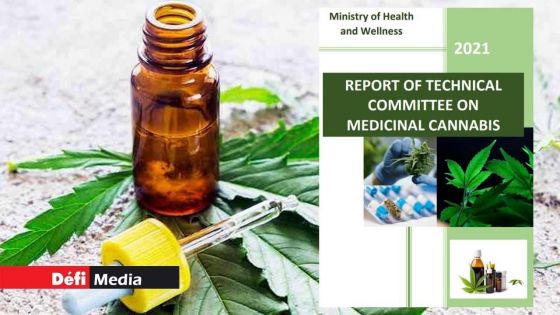 [Document] Cannabis médical : découvrez le rapport du comité technique