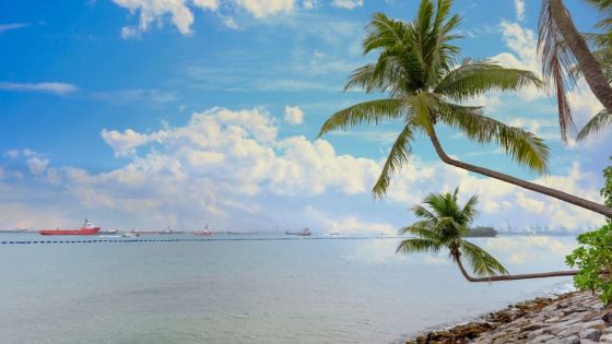 Prévisions météo du 27 août : découvrez ce que Dame Nature nous réserve en ce dimanche