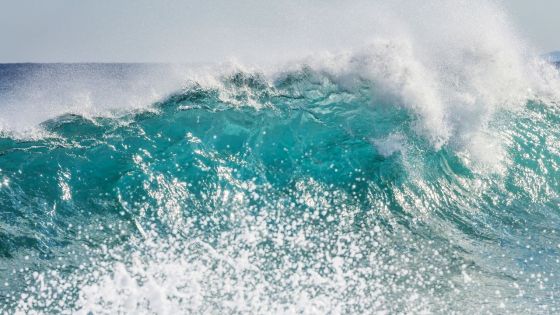 Disparition en mer à La Preneuse, un cas de noyade enregistré à Baie-du-Tombeau