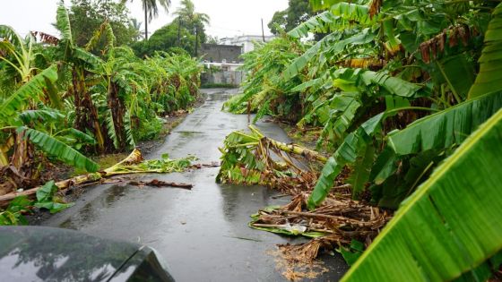 La forte tempête Calvinia reste stationnaire : l'alerte 3 maintenue