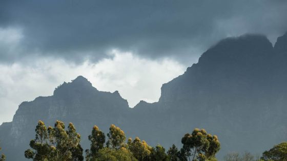 Vendredi sous le soleil ou la pluie ? Les prévisions météorologiques