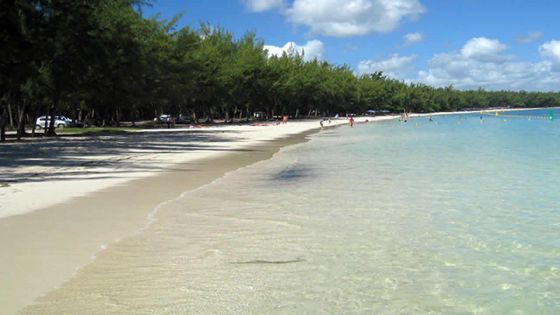 Lagon de Mont-Choisy : implantation de reef balls en cours