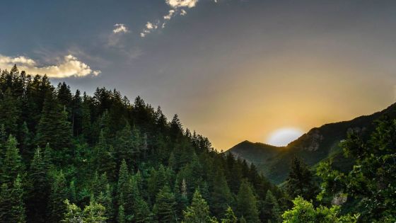Météo : quel temps fera-t-il ce mercredi ?
