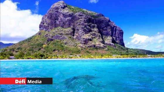 Dans un barachois au Morne : des centaines de poissons retrouvés morts 