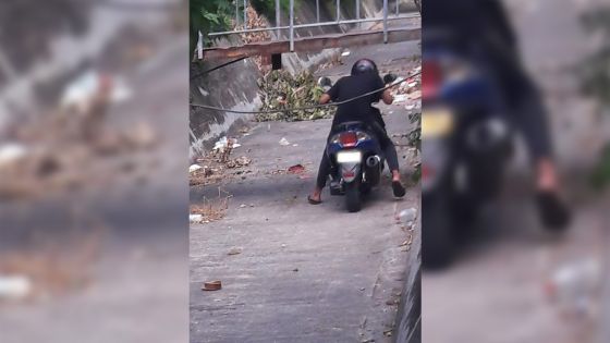 Zone rouge à Vallée Pitot : les autorités en voient de toutes les couleurs