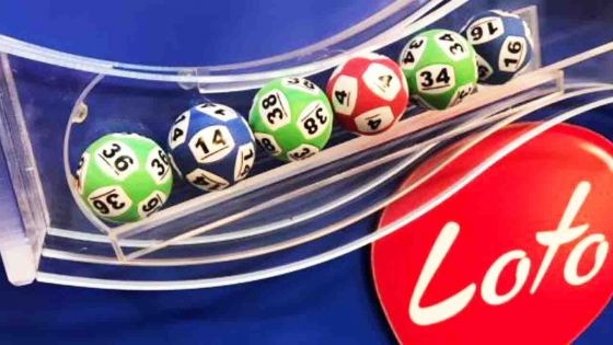 Loto : découvrez les numéros gagnants du tirage de ce mercredi