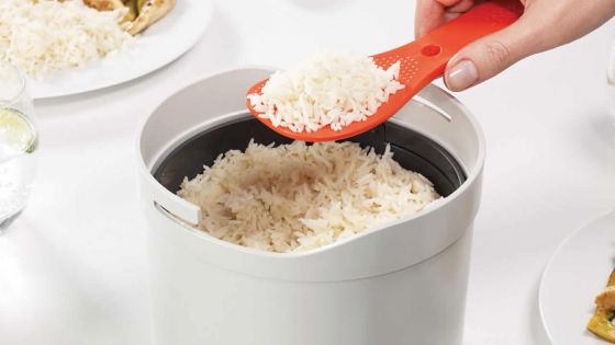 Basmati : révision de la norme MS 177