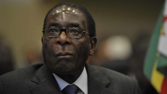 Fin de règne - Zimbabwe : Mugabe a «accepté de démissionner», selon son entourage