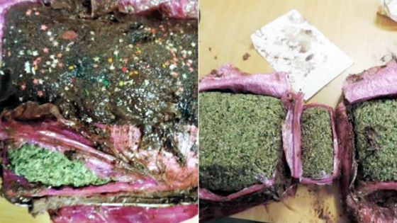 En provenance d’Afrique du sud - Quatre arrestations : 4,51 kg de gandia retrouvés dans des gâteaux au chocolat