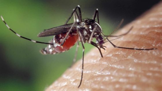 A case of malaria detected on Nigerian