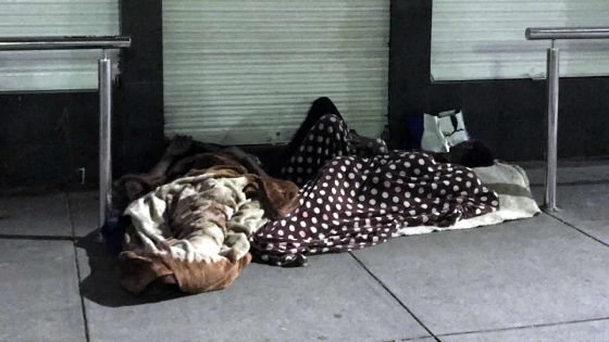 Pauvreté absolue : 52 % des sans-abris ont un travail, mais n’arrivent pas à s’en sortir