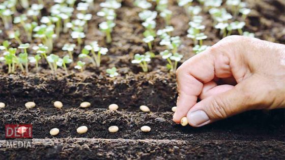 Audit – Agro-industrie : pas de mécanisme efficace pour les exécutions de projet