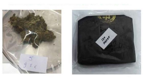 Poste : un colis contenant Rs 1,5 million de cannabis saisi