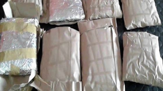 Descentes policières : 20 kilos de drogue synthétique saisis en quatre mois