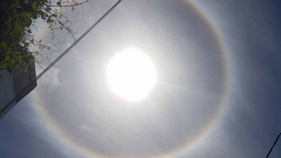 Un halo aperçu autour du soleil