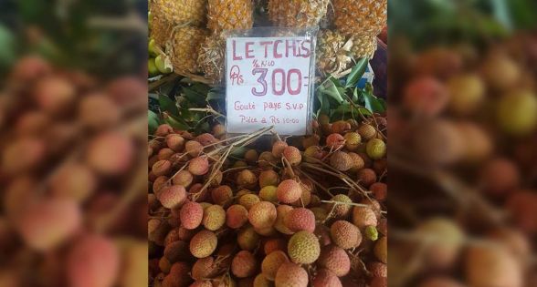 Letchis : le demi-kilo coûte Rs 300