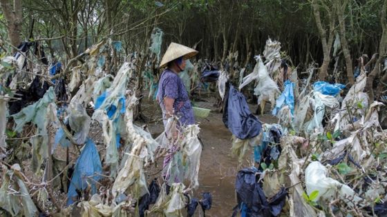 5 000 milliards de sacs par an: le monde malade de sa consommation de plastique