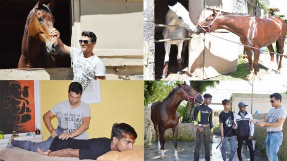 Ravi Rawa : le fabuleux destin d’un ancien jockey devenu soigneur de chevaux 