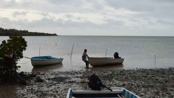 Rodrigues : la pêche aux crabes, crevettes et langoustes bientôt réglementée