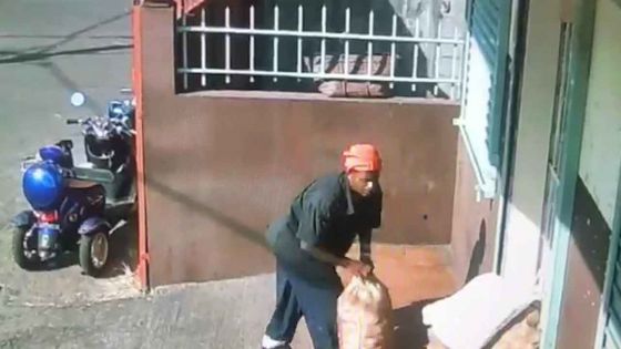 Terre-Rouge : un voleur emporte une balle d'oignons 