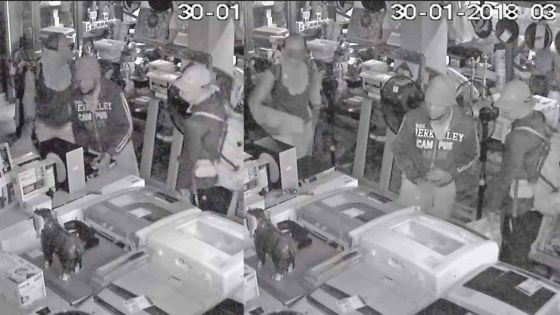 Un butin de Rs 700,000 emporté d’un supermarché à Montagne-Blanche, 3 voleurs filmés 