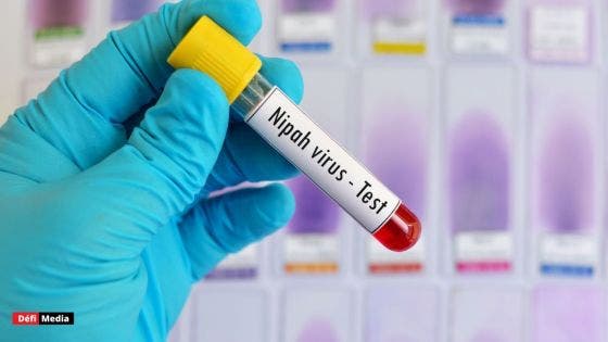 Inde : Kerala en alerte après une nouvelle épidémie du virus mortel Nipah : ce qu'il faut savoir
