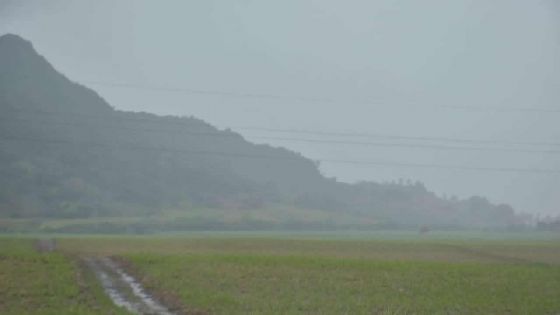 Avis de fortes pluies : averses, orages et brouillard au rendez-vous ce dimanche 