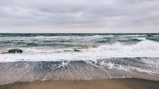 Météo : les prévisions pour ce jeudi