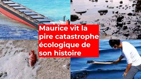 Maurice vit la pire catastrophe écologique de son histoire