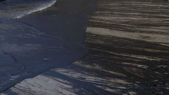 Marée noire au Pérou 