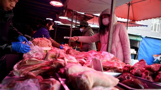 Du rat ou du croco ? L'étrange marché chinois au coeur du virus