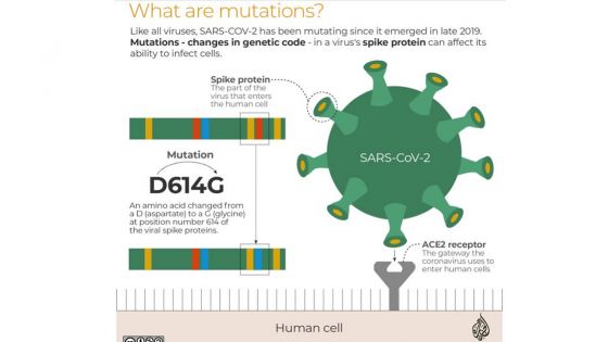 [Infographies] Covid-19 : ce que l'on sait du variant Omicron