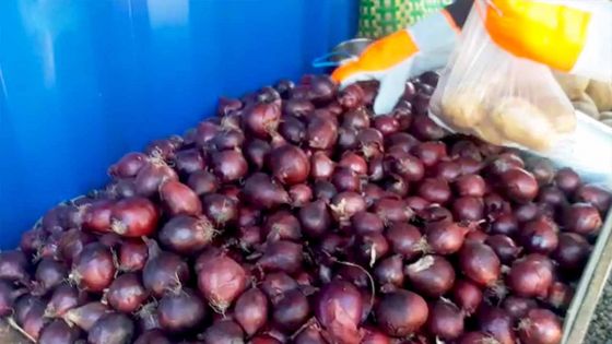En vente à Rs 20, oignons et pommes de terre « unlimited » à Notre-Dame 