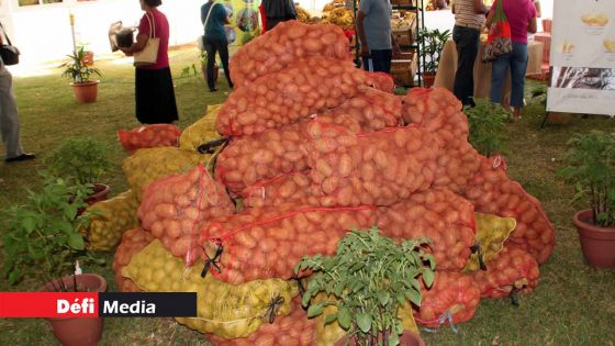 Covid-19 : les prix de la pomme de terre et d’oignon fixés à Rs 40 le kilo